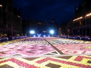 154  Flower Carpet @ Grand-Place.JPG
